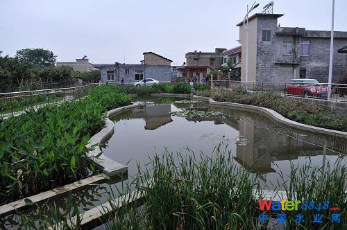 在廣西玉林市玉東新區(qū)茂林鎮(zhèn)金谷村,污水處理設(shè)施不僅改善了環(huán)境,也成了村里一道美麗風(fēng)景(4月10日攝)。 蒼蠅亂飛的臭水溝不見了,池塘的死水變活了,臟亂差的農(nóng)村變美了……廣西積極推進農(nóng)村環(huán)境連片整治示范工作,讓越來越多的農(nóng)村舊貌換新顏。2012年,廣西共有18個縣500個村完成了示范整治任務(wù),實施污水處理設(shè)施487套、生活垃圾收集轉(zhuǎn)運設(shè)施設(shè)備1.2226萬個(臺、套),受益人口180萬。今年,廣西計劃投資5.25億元,在19個縣(自治縣、市、區(qū))開展農(nóng)村環(huán)境連片整治示范項目,使全廣西農(nóng)村每年可增加生活污水處理能力1350萬噸。(新華社記者 周華 攝)