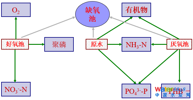 從幾個(gè)常見現(xiàn)象談污水處理廠設(shè)計(jì)和運(yùn)行的精細(xì)化問(wèn)題